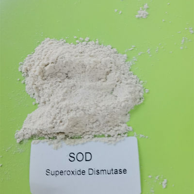 99% CAS 9054-89-1 Superoxide Dismutase In Cosmetics