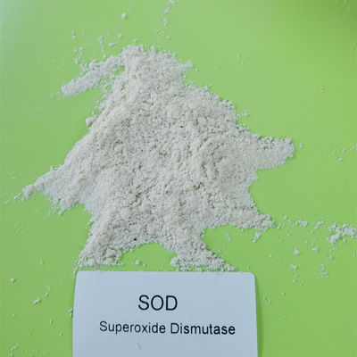 CAS 9054-89-1 50000iu/g Superoxide Dismutase Anti Aging