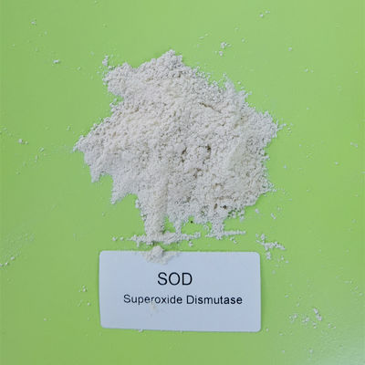 White Powder Food Grade 99% Superoxide Dismutase For Skin