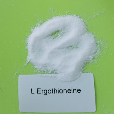 ISO 99.5% L Ergothioneine Powder Protect Mitochondria From Damage