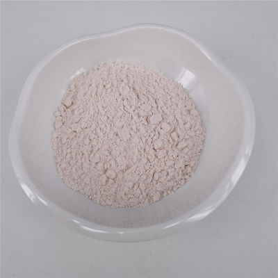 Free Radical Scavenging 99% Superoxide Dismutase Powder 232-943-0