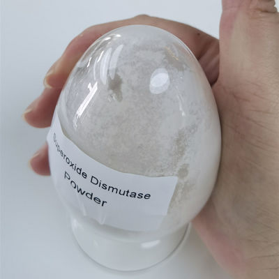 Whitening Anti Wrinkle 50000iu/g Superoxide Dismutase Powder