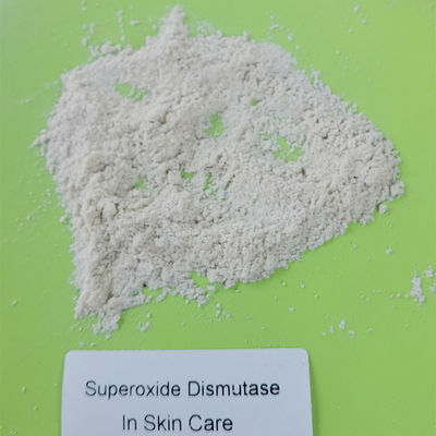 Microbial Fermentation Superoxide Dismutase In Cosmetics 9054-89-1