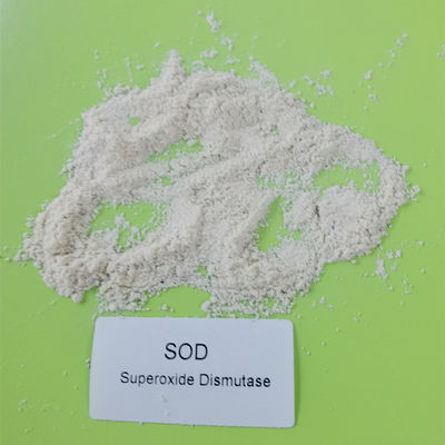 Purity 99% Microbial Extraction Superoxide Dismutase In Cosmetics CAS 9054-89-1