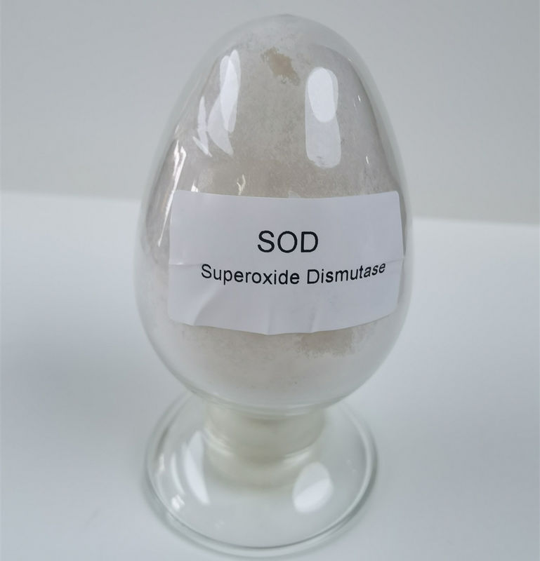 PH 4-11 Superoxide Dismutase SOD Powder 50000iu/g