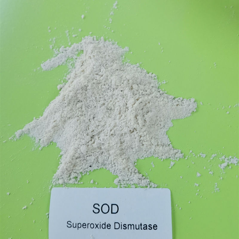 SOD Antioxidant Superoxide Dismutase 99% 500000iu/g