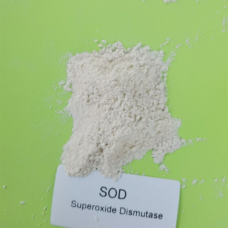 Food Grade 50000iu/g Superoxide Dismutase In Skincare 9054-89-1