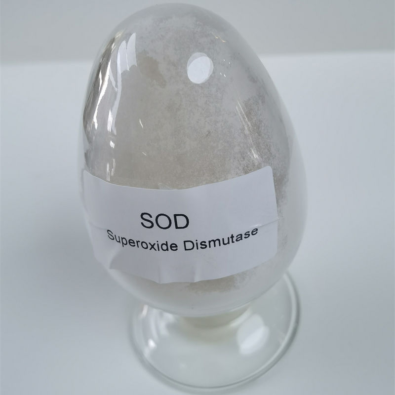 99% CAS 9054-89-1 Superoxide Dismutase In Cosmetics